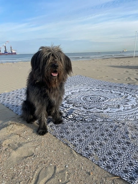 Zwarte strandlakens